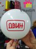 Шары с нанесением логотипа заказчика 1